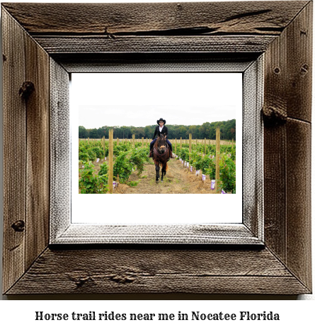 horse trail rides near me in Nocatee, Florida